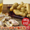 《冷凍》2025年度産新豆 手もぎジャンボゆで落花生【おおまさり380g×10袋セット】千葉県八街産落花生【送料無料】