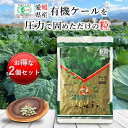 遠赤青汁V1GOLD 1250粒詰替(2個セット 5%引)[送料無料 有機 国産 愛媛県産 オーガニック 青汁粒 乳酸菌 納豆菌 酵素 ケール 有機JAS]