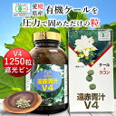 【20日限定 店内買い回りで最大P20倍】遠赤青汁V4 1250粒 ビン[送料無料 有機 国産 子供 青汁粒 粒 タブレット ケール オーガニック 酵素 無添加 無農薬 無糖 コレステロール 野菜 食物繊維 野菜不足 ビタミン ミネラル 鉄 葉酸 アミノ酸 ギャバ GABA ]