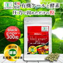 遠赤青汁 black ginger+ 300粒 [送料無料 有機 国産 子供 青汁粒 粒 タブレット ケール オーガニック 酵素 無添加 無農薬 コレステロール...