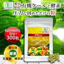 遠赤青汁 turmeric bio+ 300粒 [送料無料 有機 国産 子供 青汁粒 粒 タブレット ケール オーガニック 酵素 無添加 無農薬 コレステロール...