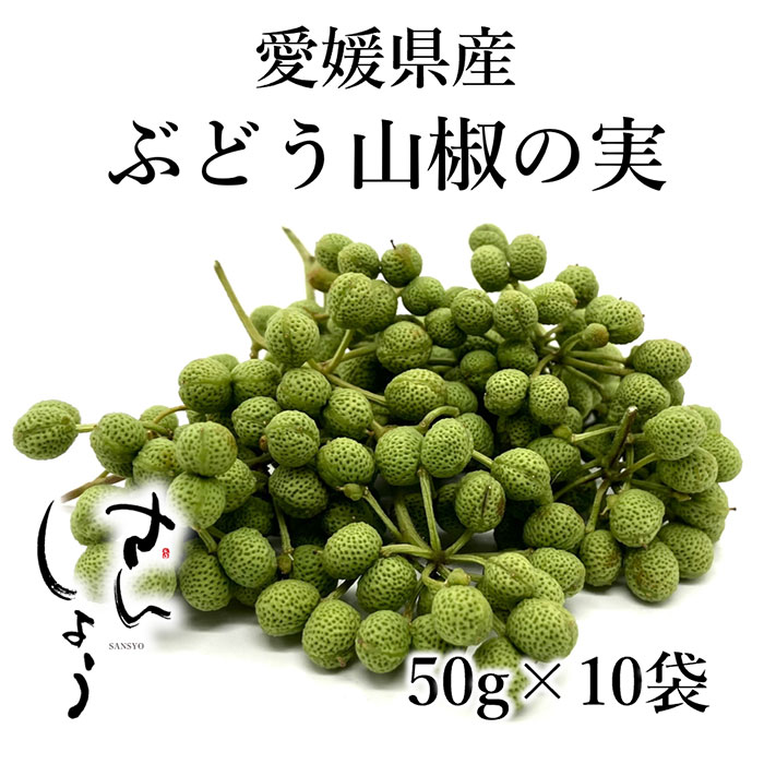 【期間限定販売】愛媛県産 ぶどう山椒 50g×10袋 (500g) [冷凍 さんしょう 山椒 送料無料 山椒の実 産地直送 軸 枝付き 下処理なし 和 スパイス 麻婆豆腐 パスタ じゃこ おにぎり 煮物 昆布 醤油 ちりめん 香りづけ 生 生山椒 山椒の実 ]のサムネイル