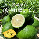 【期間限定】グリーンレモン レモン 璃の香 1kg・2kg [ 愛媛県産 国産 産地直送 ノーワックス 無農薬 皮まで まるごと 有機 オーガニック ギフト お...