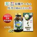 【特別価格】遠赤青汁V4 1250粒 ビン(1個)[送料無料 有機 国産 愛媛県産 ウコン 秋ウコン ウコン粒 オーガニック 青汁粒 ギャバ ケール 有機JAS 無添加 無香料 粒]