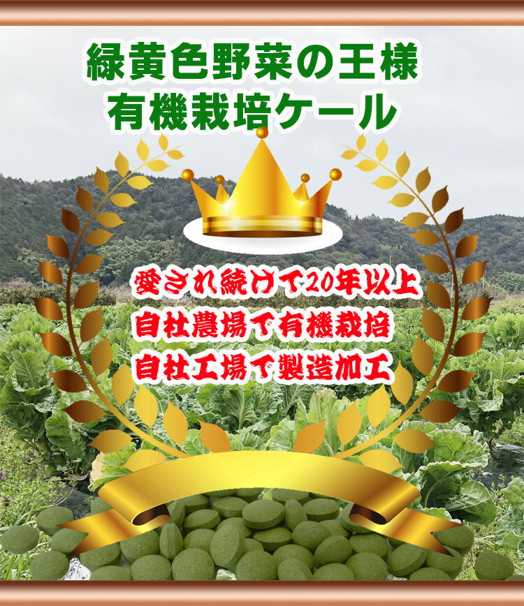 緑黄色野菜の王様と呼ばれるケール