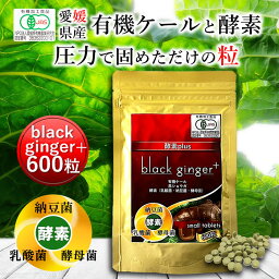 遠赤青汁 black ginger+ 600粒 [送料無料 有機 国産 子供 青汁粒 粒 タブレット ケール オーガニック 酵素 無添加 無農薬 コレステロール 野菜 食物繊維 野菜不足 ビタミン ミネラル 鉄 葉酸 アミノ酸 ギャバ GABA ]