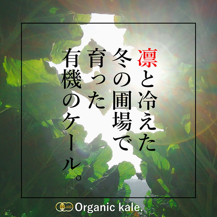 粒粉末選べるお試し送料無料【お一人様2個まで】遠赤外線乾燥ケール有機野菜そのまんま青汁サプリお子様にも飲みやすいダイエット国産有機栽培ビタミン酵素たんぱく質プロティン便秘女性妊婦赤ちゃん栄養