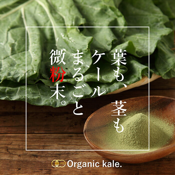 粒粉末選べるお試し送料無料【お一人様2個まで】遠赤外線乾燥ケール有機野菜そのまんま青汁サプリお子様にも飲みやすいダイエット国産有機栽培ビタミン酵素たんぱく質プロティン便秘女性妊婦赤ちゃん栄養
