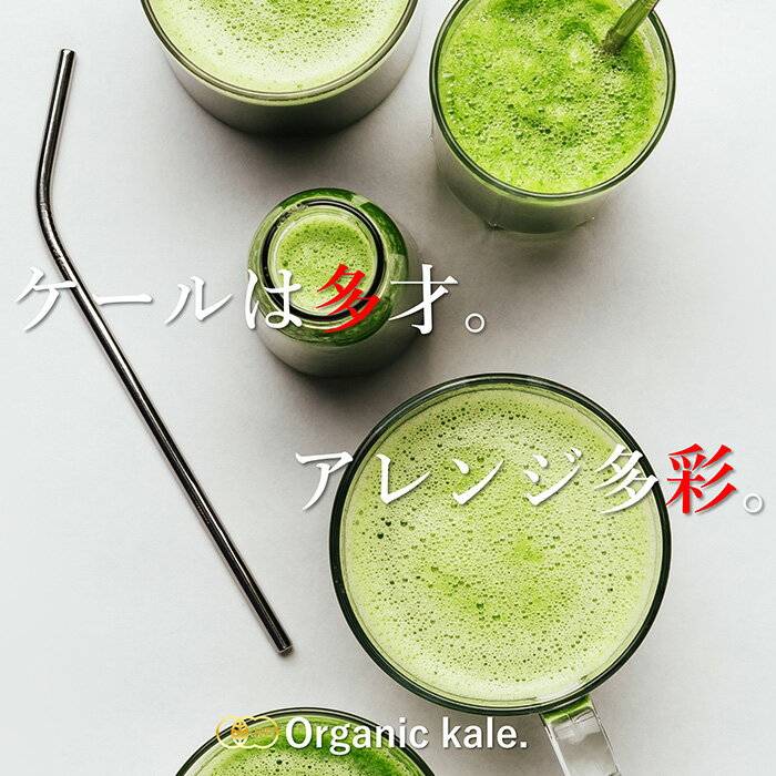 粒粉末選べるお試し送料無料【お一人様2個まで】遠赤外線乾燥ケール有機野菜そのまんま青汁サプリお子様にも飲みやすいダイエット国産有機栽培ビタミン酵素たんぱく質プロティン便秘女性妊婦赤ちゃん栄養