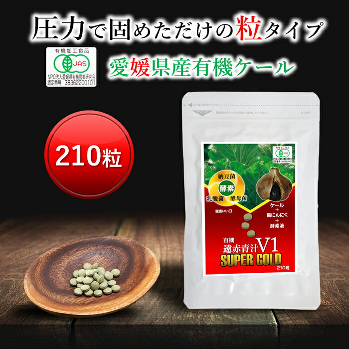 楽天国産＆オーガニック青汁 遠赤青汁遠赤青汁V1SUPER GOLD 210粒 お試し 送料無料 [ 有機 国産 青汁粒 粒 タブレット ケール 酵素 無添加 無農薬 コレステロール 野菜 食物繊維 野菜不足 ビタミン ミネラル 鉄 葉酸 アミノ酸 ギャバ ]