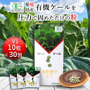 【店内買い回りでポイント10倍】遠赤青汁V1 10粒×30包[送料無料 有機 国産 子供 青汁粒 粒 タブレット ケール オーガニック 酵素 無添加 無農薬 無糖 コレステロール 野菜 食物繊維 野菜不足 ビタミン ミネラル 鉄 葉酸 アミノ酸 ギャバ GABA ]