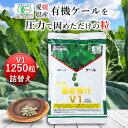 【期間限定ポイント20倍＆店内買い回りでP10倍】遠赤青汁V1 1250粒詰替[送料無料 有機 国産 ...