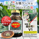 【期間限定ポイント20倍＆店内買い回りでP10倍】遠赤青汁V1 1250粒ビン[送料無料 有機 国産 ...