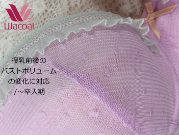 ☆送料無料★【数量限定ショーツセット企画】ワコール 産後専用 ブラジャー E70 リフトアップ/綺麗なバストライン/授乳カンなしタイプ/