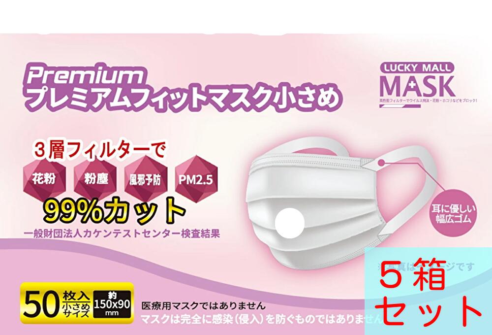 【お買い得5箱セット】小さめサイズ 50枚入り Premium プレミアムフィットマスク　LUCKY MALL MASK 不織布 【送料無料】