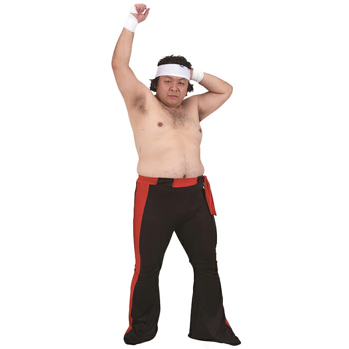プロレス コスプレ 衣装 パフォーマンス ダンス イベント ゴムウエスト ポリエステル 個性派 メンズ レ..