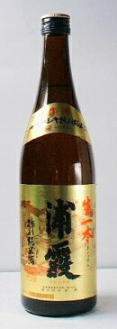 【送料無料・カンガルー便限定】宮城の地酒「浦霞　特別純米酒　生一本」720ml 12本セット