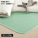 ★全商品ポイント10倍★湿度調整マット 調湿くん シングル 90×180cm 除湿シート 除湿マット 洗える 布団湿気取り 防湿シート 調湿シート ふとん 布団 敷きパッド 消臭 防ダニ 防カビ 吸湿力 消臭力 湿気 結露 敷き布団下 インテリア おしゃれ アジアン 和モダン 塩系 その1