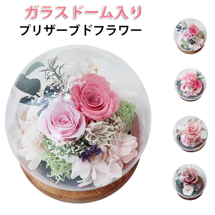 Rakuten - ガラス ローズ 母の日 結婚祝い ガラスドーム カーネーション 記念日 プリザーブドフラワー 花 バブルドーム アレンジメント ケース入り 花ギフト 2026 バラ プレゼント 誕生日 敬老の日 フラワーギフト ギフト お祝い 枯れない インテリア 置物 おしゃれ フレームフラワー