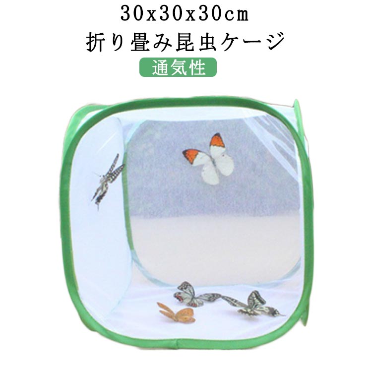 Supplies - 昆虫ケージ 繁殖 飼育ケース ネット 標本箱 バタフライケージ 30x30x30cm 昆虫飼育箱 蝶 バッタ シルクワーム グローバーム生息地 植物ケージ 昆虫ケージ 折り畳み 虫かご ポップアップハウジング 昆虫観察