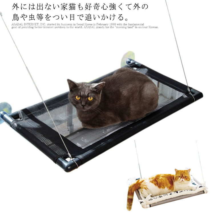 乐天商城 - 吸盤式 猫ハンモック 猫窓枠座り台 猫のハンモック 吊りベッド キャットハンモック 玩具 猫 ベッド 窓際マット 昼寝 ストレス解消 猫グッズ 日向ぼっこ 日光浴 除菌ダニ駆除 猫窓用 取り付け簡単