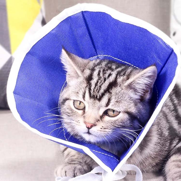 エリザベスカラー 猫 犬 柔らかい 不織布 ペット 犬猫兼用 猫用品 犬用品 軽量 ス...