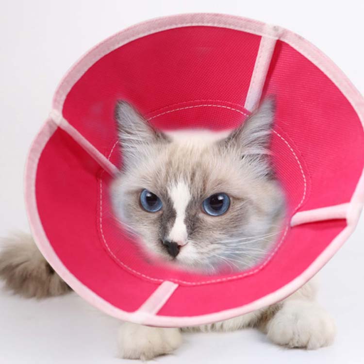 エリザベスカラー 猫 犬 柔らかい 不織布 ペット 犬猫兼用 猫用品 犬用品 軽量 ス...