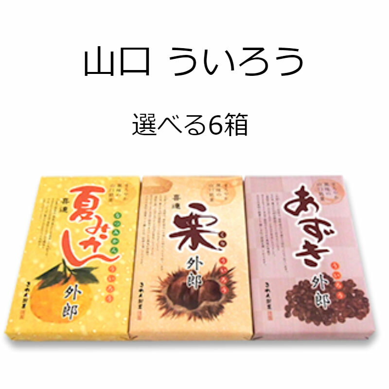 ういろう 山口 お土産 手土産 外郎 スイーツ 和菓子 詰め合わせ ギフト お取り寄せ 小豆外郎 夏みかん外郎 栗外郎 選べる6箱