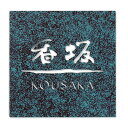 表札 サイン ステンレス 抜き文字 戸建 丸三タカギ イエロゴ デッサン DSN-2 選べる塗装 選べる書体