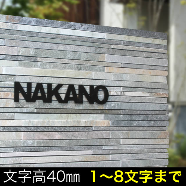 Rakuten - 選べる書体 表札 ステンレス サイン 切り文字 レタリオ おしゃれ ローマ字 ネームプレート TNG40-8 文字高約40mm ※1〜8文字まで