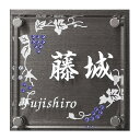 選べる書体 オーダー表札 丸三タカギ クリスタルモール CMSS-K4-4 幅130mm×高さ130mm