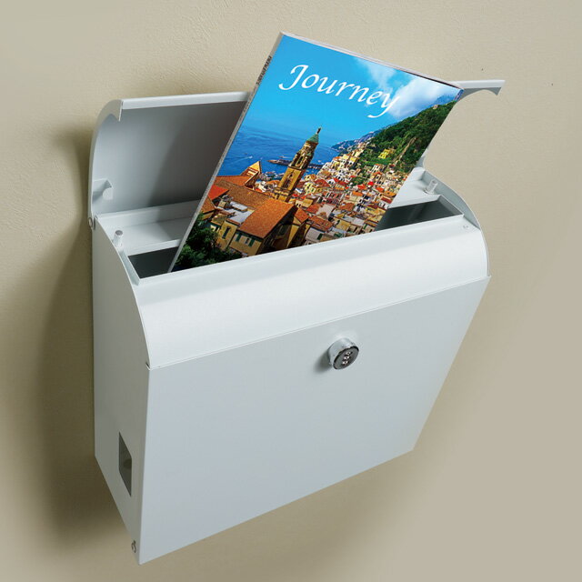 �ݻ������� �᡼���غ��祵��������ȡ��ǽ ������ ͹�إݥ��� ���ݡ��� MLP �ۥ磻�ȿ� ���������դ�