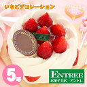 【イチゴデコレーション5号】誕生日ケーキ お誕生日ケーキ バ