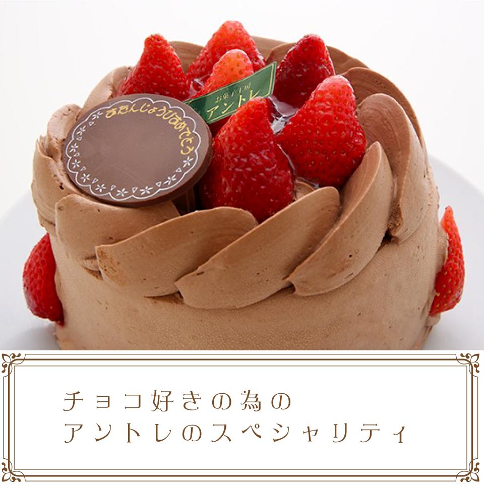 有名ブランド ふわふわのココアスポンジに濃厚なガナッシュクリームクリームプレゼントやサプライズに最適 インスタ映え最高 誕生日ケーキ バースデーケーキ ホールケーキ ショートケーキ お取り寄せ 誕生日 子供の日 ゴールデンウイーク 卒業 22 バースデー 入学 母の 有名ブランド ふわふわのココアスポンジに濃厚なガナッシュクリームクリームプレゼントやサプライズに最適 インスタ映え最高 誕生日ケーキ バースデーケーキ ホールケーキ ショートケーキ お取り寄せ 誕生日 子供の日 ゴールデンウイーク 卒業 22 バースデー 入学 母の