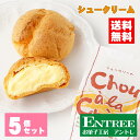 【シュークリーム5個セット】　お