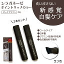 【クーポン対象】 シラガネーゼ ポイントリッチカラー EX ダークブラウン 2本セット (トリートメント染毛剤) 白髪染め 徐々に染まる 簡単カラーリング 若白髪 カラートリートメント ヘアトリートメント AIDA アイーダ entrex アントレックス