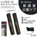 【クーポン対象】 シラガネーゼ ポイントリッチカラー EX ナチュラルブラック 2本セット (トリートメント染毛剤) 白髪染め 徐々に染まる 簡単カラーリング 若白髪 カラートリートメント ヘアトリートメント AIDA アイーダ entrex アントレックス