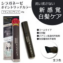 【クーポン対象】 シラガネーゼ ポイントリッチカラー EX ナチュラルブラック (トリートメント染毛剤)白髪染め 徐々に染まる 簡単カラーリング 若白髪 カラートリートメント ヘアトリートメント AIDA アイーダ entrex アントレックス