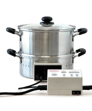 平山式 低温スチーム電気鍋 26cm 低温調理 低温蒸し 低温スチーミング 70℃蒸し 50℃洗い 蒸し器 低温スチーム ヘルシー 健康志向