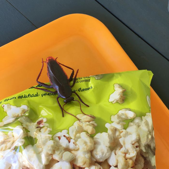 【BLACKFRIDAYクーポン】 Fred ゴキブリクリップ 4pcsセット クリップ キッチン キッチングッズ 文房具 ステーショナリー ドッキリ 面白グッ...