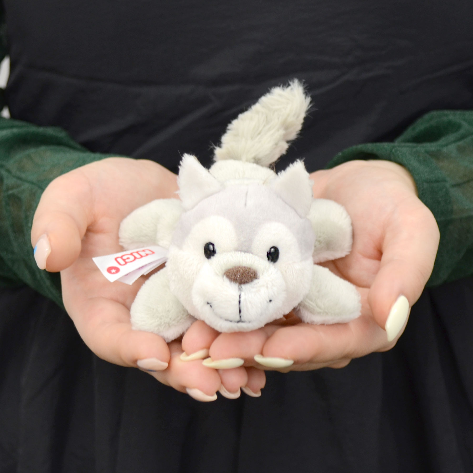楽天市場】ウルフ ウィッグ(マグネット|文房具・事務用品 楽天市場】ウルフ ウィッグ(マグネット|文房具・事務用品