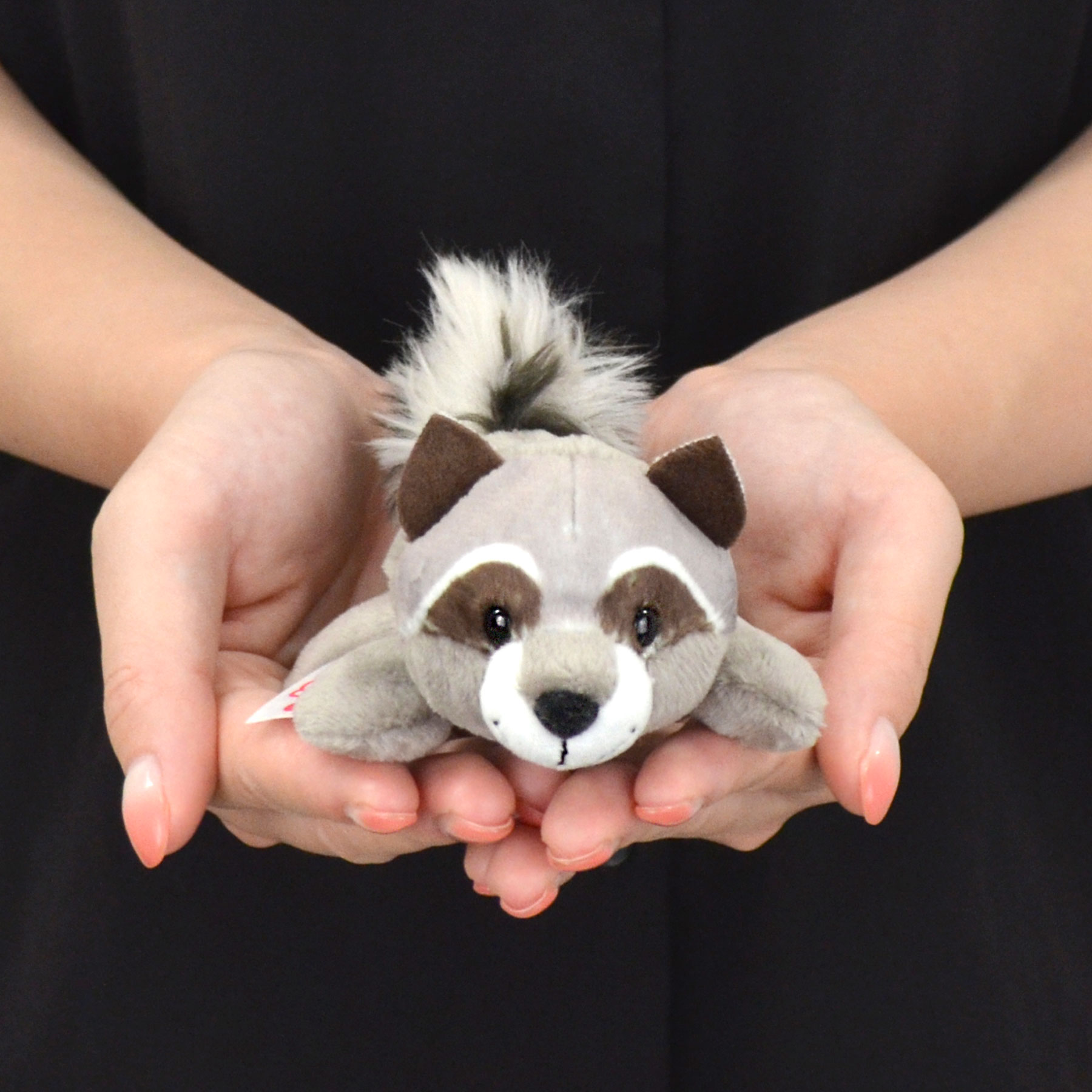 【日本正規代理店】NICI(ニキ) MN winter24 ラクーン レノ 12cm (gr01m) 2508CP