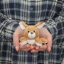 【日本正規代理店】NICI(ニキ) MN WF25 カンガルー ケリー 12cm(gr01m)