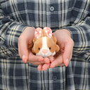 【日本正規代理店】NICI(ニキ) キーリング Meadow Friends2025 ラビット サラ 10cm (kh01d)