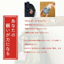 enya-2510:10002166のサンプル画像3