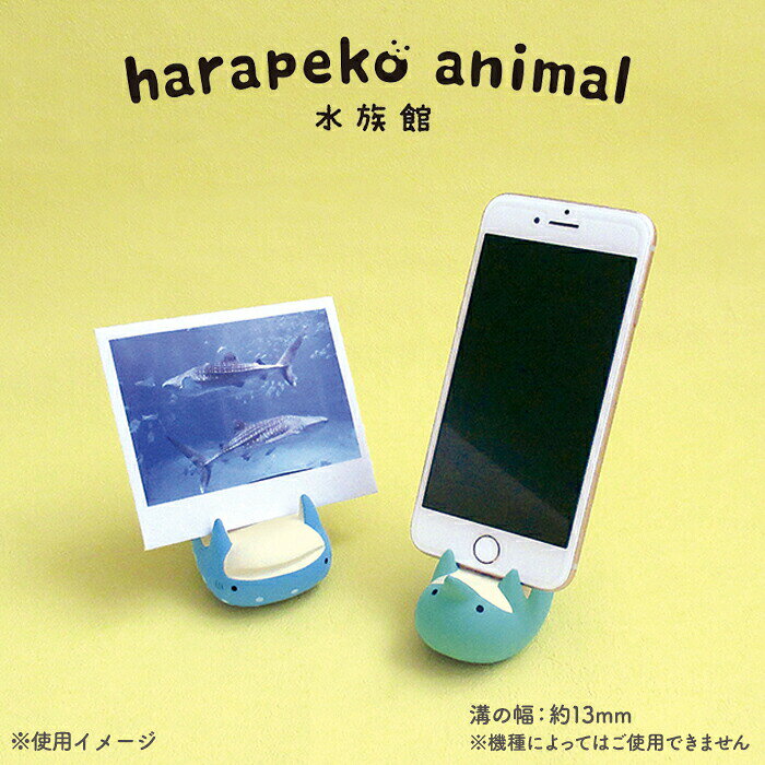 スマホスタンド かわいい スマホ立て はらぺこあにまる 水族館 じんべいざめ じんべえざめ いるか ぺんぎん ジンベイザメ イルカ ペンギン グッズ おもしろ デスク 小物 プチギフト デコレ デコレ雑貨の商品画像 3