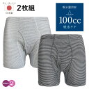 2枚組 男性用 日本製 失禁パンツ 100cc 前開き トランクス ボーダー柄 抗菌消臭 頻尿 吸水ショーツ 尿漏れ 綿混 コットン 介護 安心パンツ 紳士 旅行 屋外 父の日 M L LL