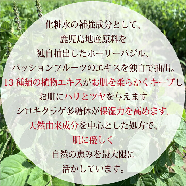 【マラソン限定14%OFFクーポン】化粧水 ボタニカノン ホーリーバジル 150ml サステ...