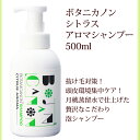 ポイント5倍! シャンプー 泡 本体 ボタニカノン BOTANICANON シトラス アロマ 500ml サスティナブル 蒸留水 自然由来成分100％ オーガ..