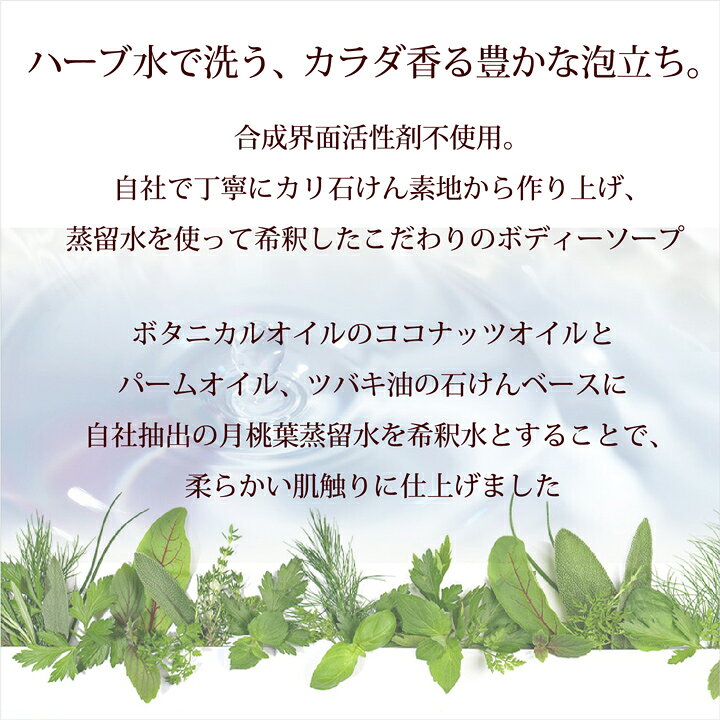 【夏祭りクーポン配布中!】 ボディソープ 泡タイプ ボタニカノン シトラスハーブ 500ml 本体 月桃蒸留水で希釈 自然由来成分100％ 合成界面活性剤不使用 オーガニック 保湿 潤い 敏感肌 ノンアルコール シェービング ボタニカルファクトリー enya-k-10006307 ENYA-KARIN エンヤ-カリン サンプル画像3